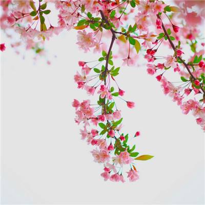 天天中彩票下载手机版截图